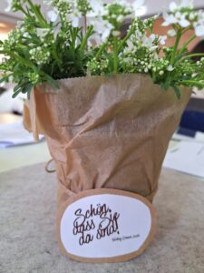 Blumen Fachtag Demenz